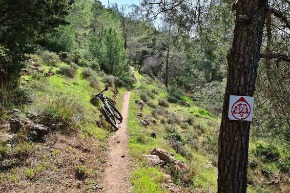 סימון הסינגל // צילום: יאיר ארונשטם